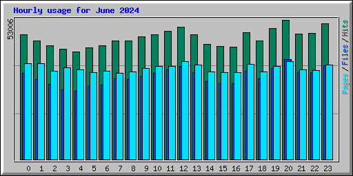 Hourly usage for June 2024