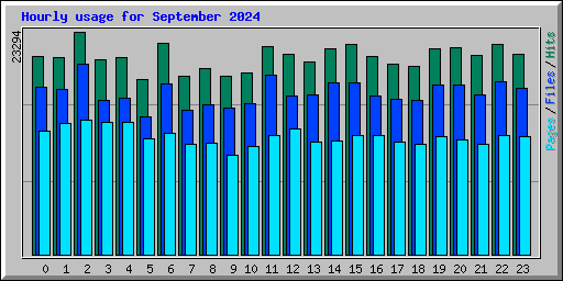 Hourly usage for September 2024