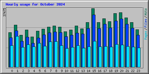 Hourly usage for October 2024