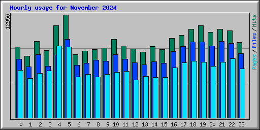 Hourly usage for November 2024