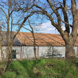 Hippisch Centrum Exloo nieuw dak