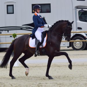 Denise Nekeman zette met de hengst Boston STH het beste Nederlandse resultaat neer in de landenwedstrijd.