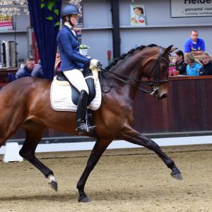 Veronique Roerink met Flanell