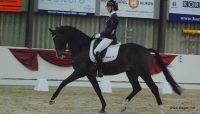 Laura Zwart reed Eros naar de derde plaats bij Indoor Hartje Drenthe. Met Lumen Express won ze de rubriek.