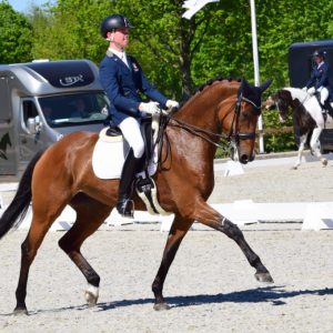 Junioren Exloo. Marten Luiten rijdt Fynona naar de vierde plaats in Exloo..