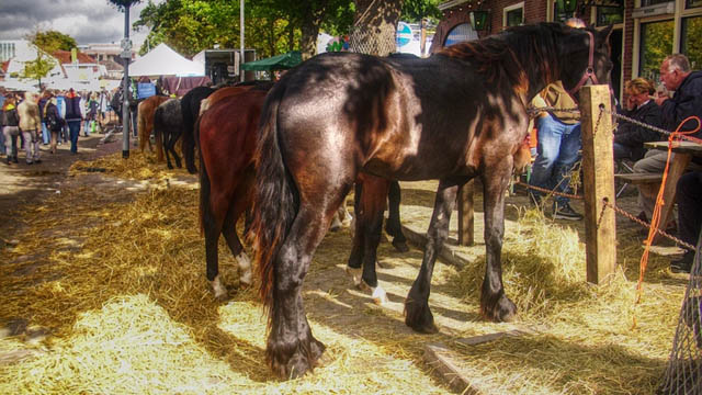 Sfeerbeeld van de Rodermarkt.