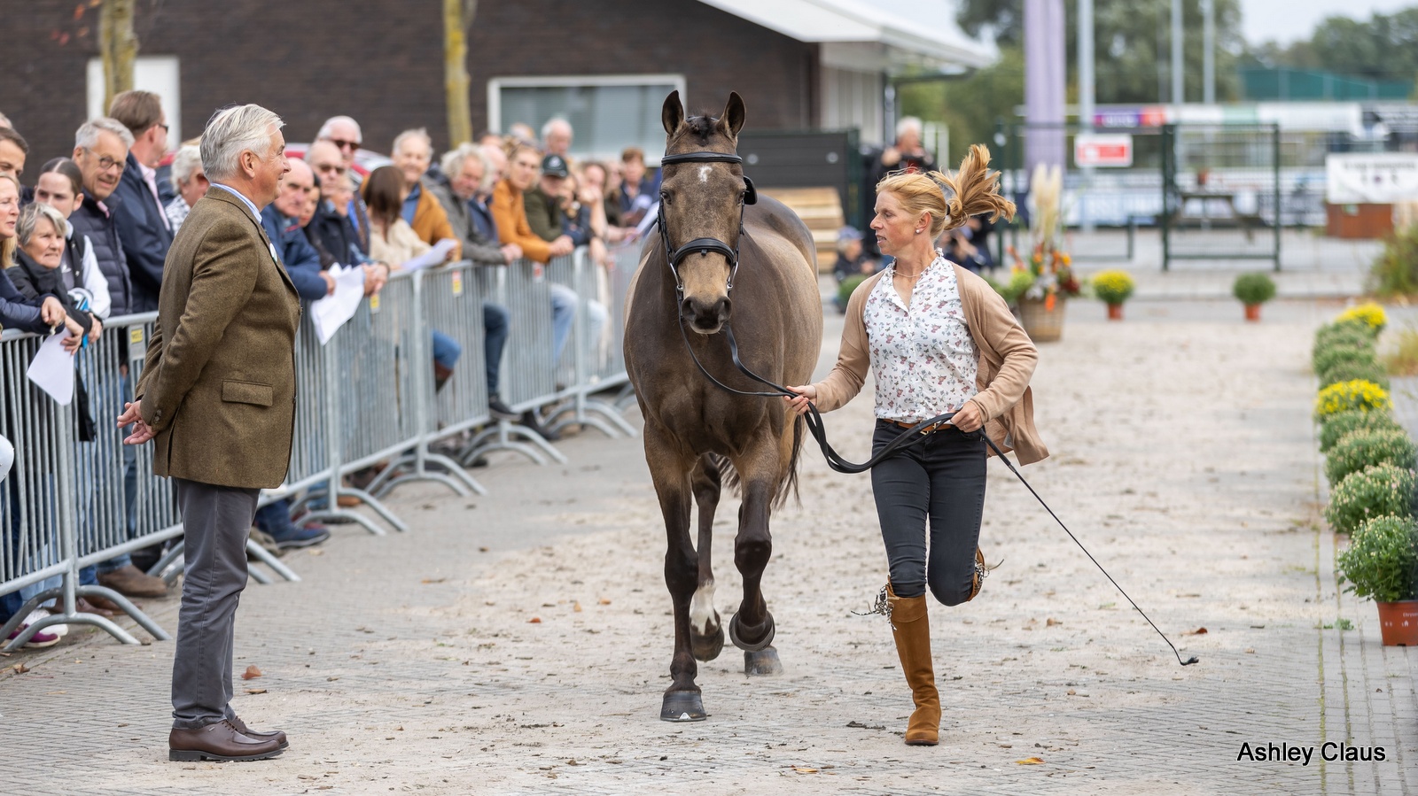 Military Boekelo