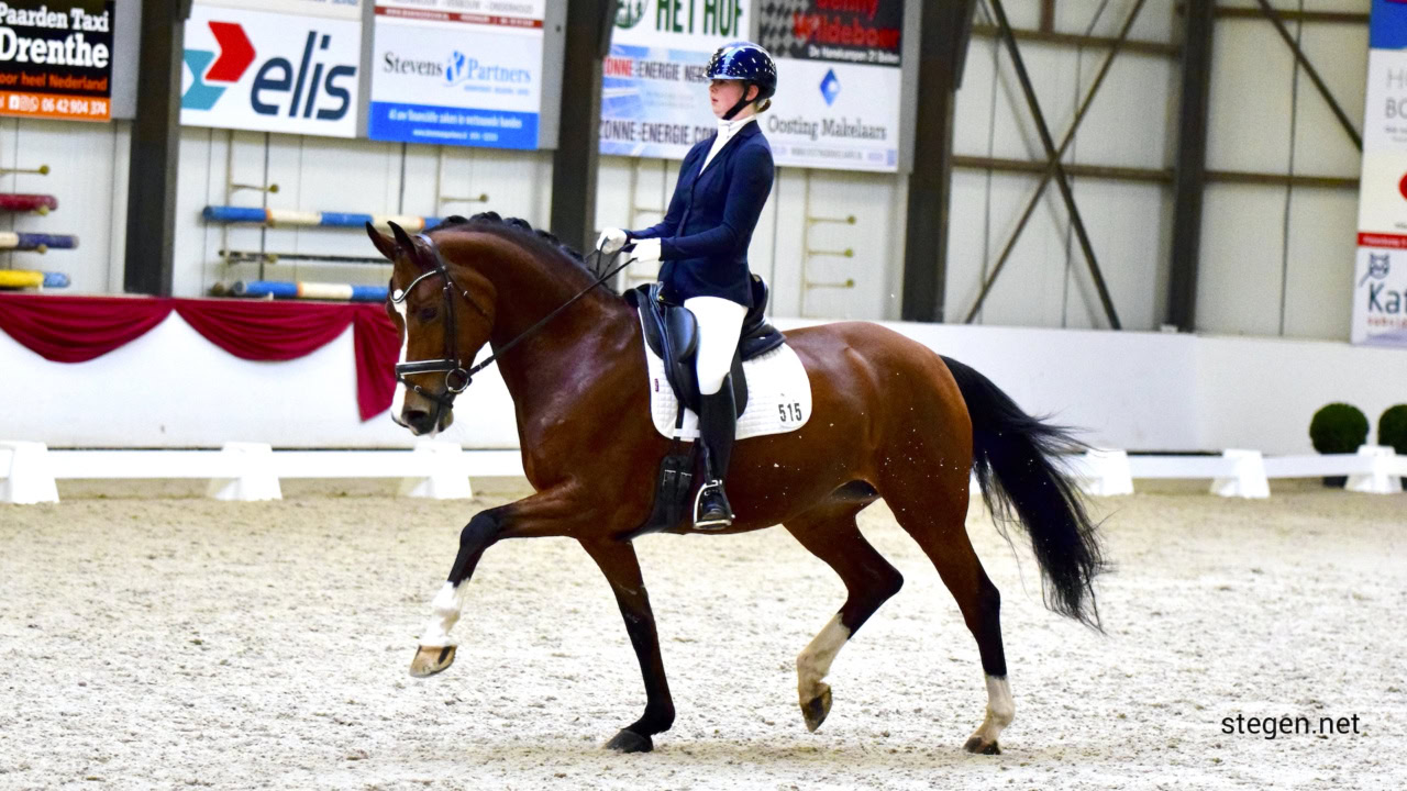 Indoor Hartje Drenthe