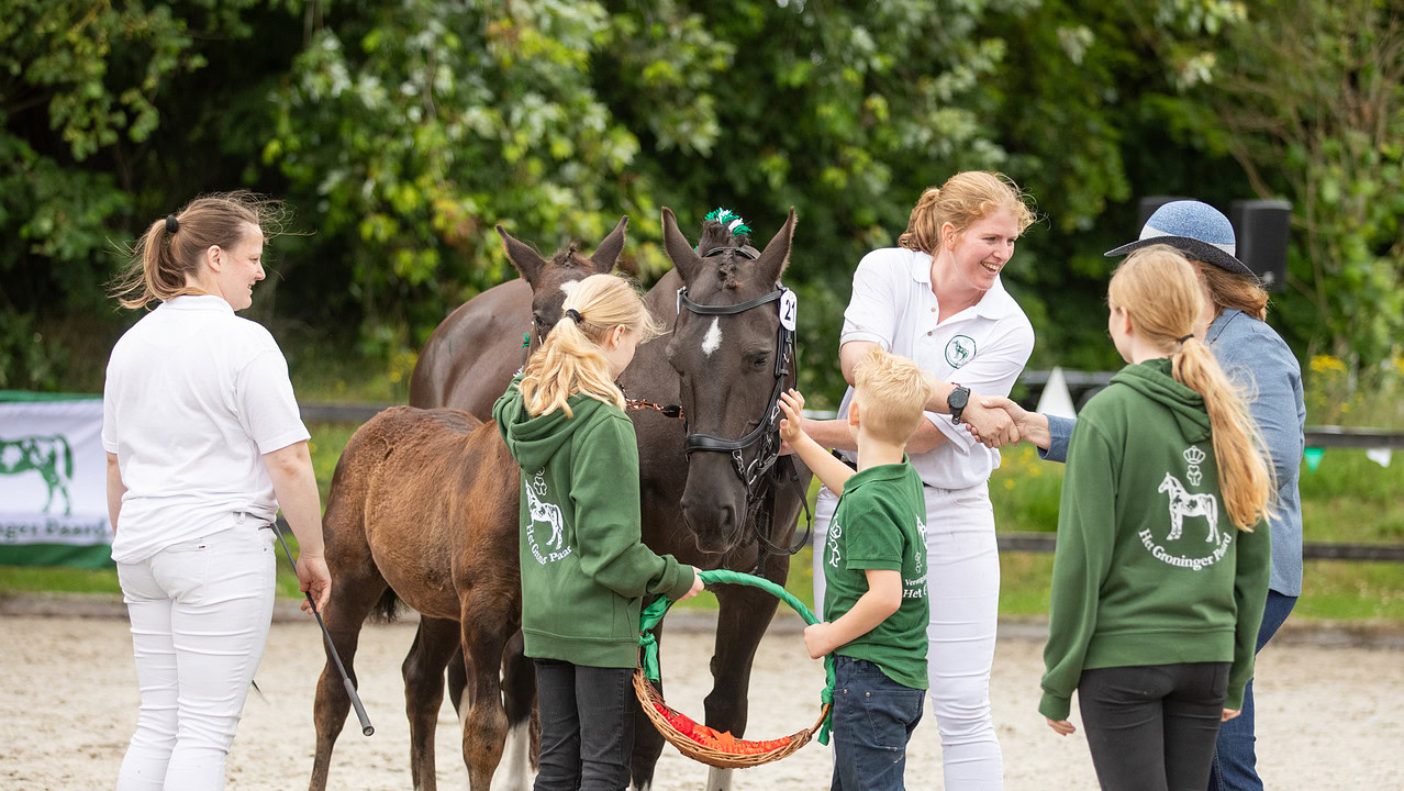 Keuring Groninger Paard